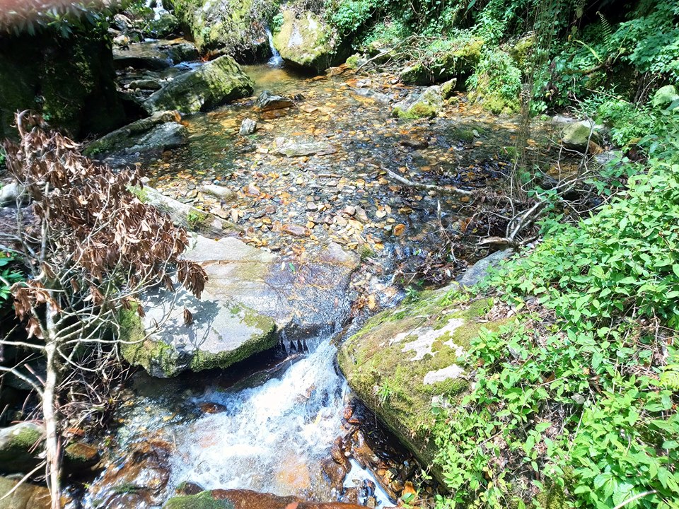 A stream ran next to the trail
