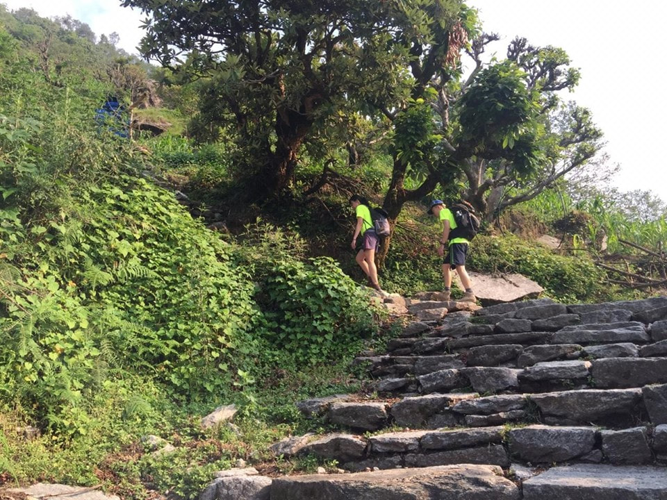 Climb on! And they say there are 3000 steps to Ulleri. Photo credit: Bhakti Devkota
