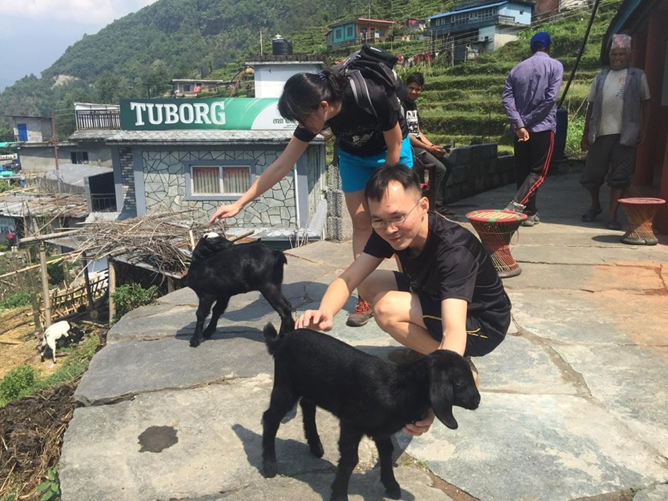 The little goats were curious and sniffed about everything including our bags but shunned away when we tried to pat and play with them. (Photo Credit : Bhakti Devkota) -- with Peh Khee Sim