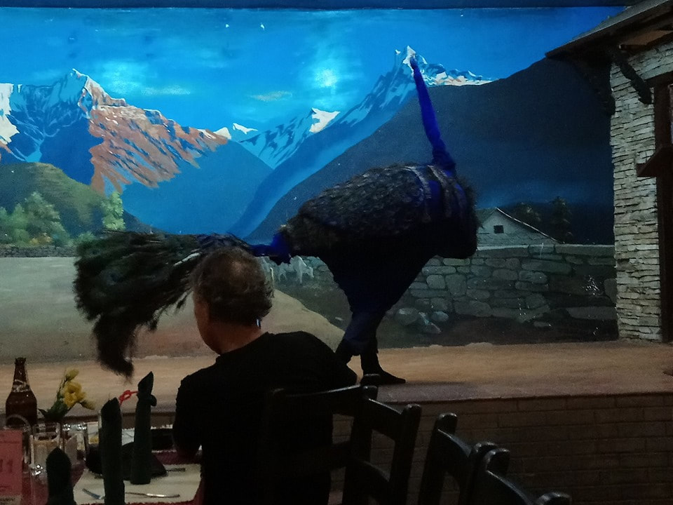 And the Peacock Dance was quite special too □
