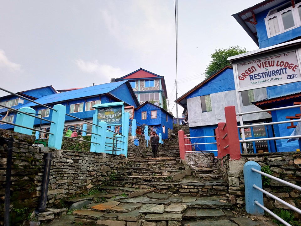 Ghorepani is a beautiful place with its hues of blue
